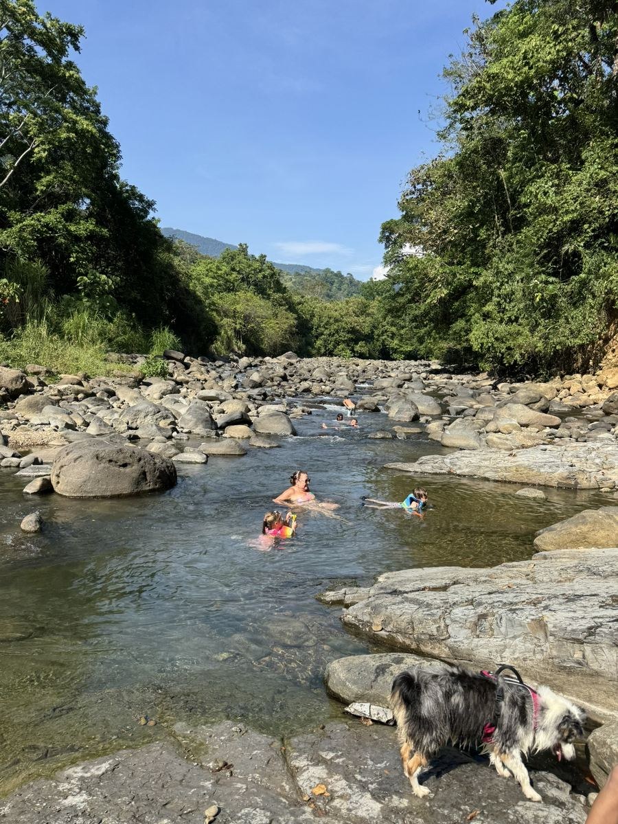 Children and an adult swimming in a shallow rocky river under forested hillsides, with a dog standing on the rocks in the foreground