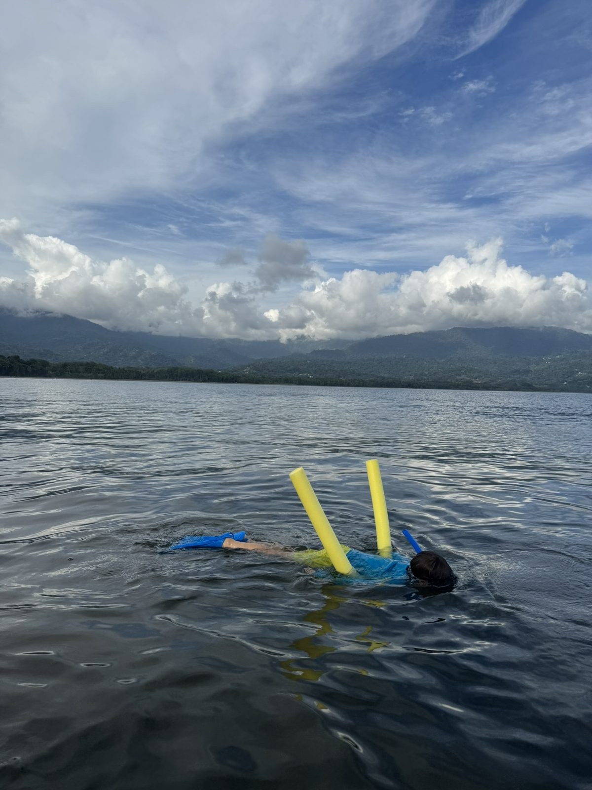 A child in a blue long-sleeved swim guard snorkelling face-down in calm water with two yellow pool noodles under the arms, coastline and mountains behind